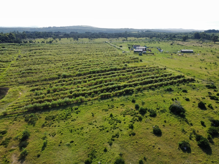 3 Bedroom Property for Sale in Kidds Beach Eastern Cape